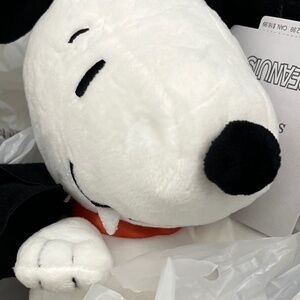 Meet your Posher, Ali